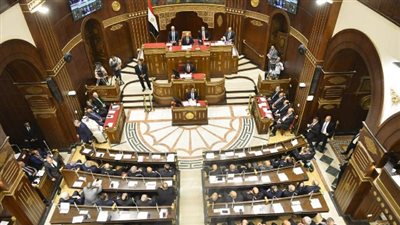 بدء الجلسة العامة لمجلس الشيوخ لمناقشة خطة التنمية الاقتصادية للعام المالي 2026-2027