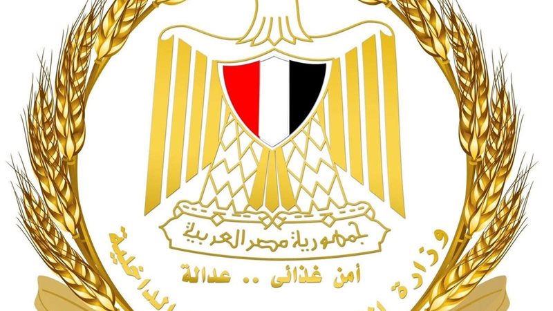 ضبط وإعدام 3 أطنان