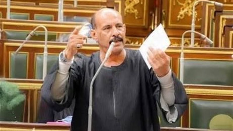 النائب فتحي قنديل