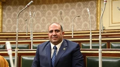 وكيل إفريقية النواب: العلاقات المصرية الليبية ممتدة عبر التاريخ