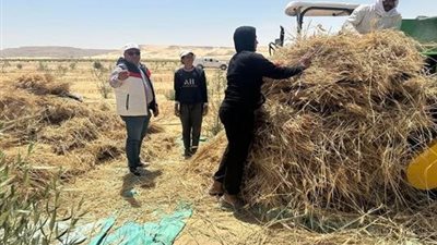 وزارة الزراعة تدفع بمعدات حديثة لتسهيل حصاد القمح في جنوب سيناء
