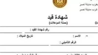 خطوة بخطوة.. طريقة استخراج كعب العمل 2026 إلكترونيا من منصة مصر الرقمية