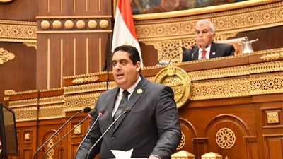 النائب وليد التمامي يطالب الحكومة بحل أزمة تعطل 
