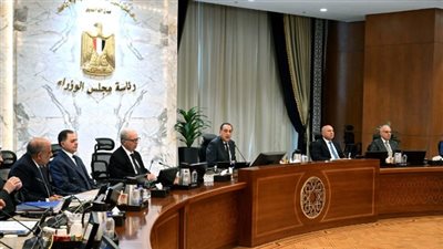 مجلس الوزراء يوافق على عفو رئاسي وتشغيل التأمين الصحي الشامل بالمنيا أهم الموافقات