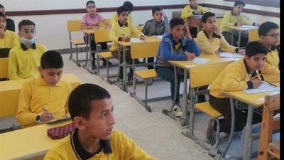 ترقبوها اليوم.. رابط نتيجة الصف الرابع الابتدائي وصفوف النقل بالقاهرة