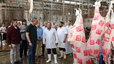 جاهزية 32 مجزر.. محافظ الجيزة يتفقد مجزري المنيب والوراق