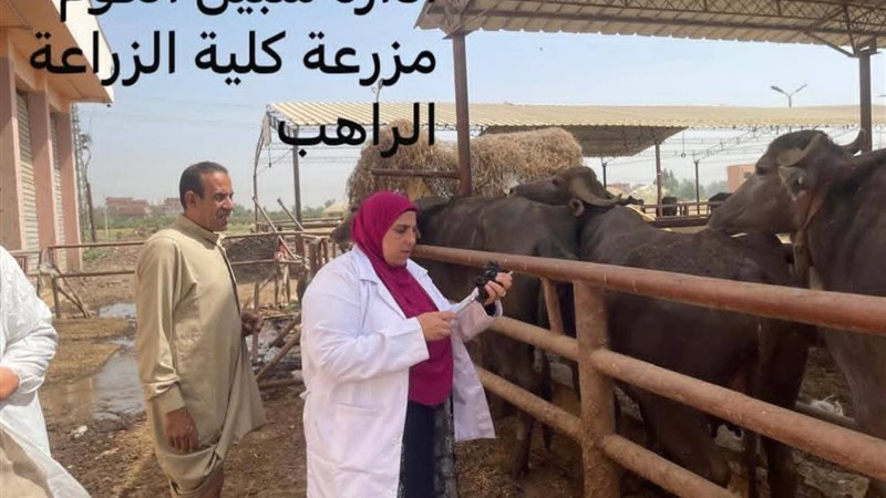 جانب من الحملات