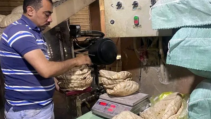 جانب من الحملة
