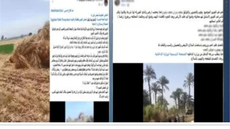 القصة الكاملة لفيديو