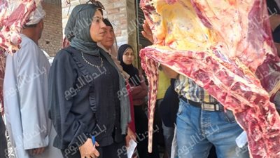 ضبط 98 مخالفة تموينية ولحوم مجهولة المصدر في حملات مكثفة بالمنوفية 