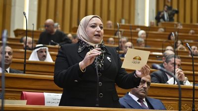 النائبة سحر عتمان: ندرس تقديم اقتراح برلماني بشأن تصدير الكلاب الضالة إلى الخارج .. خاص