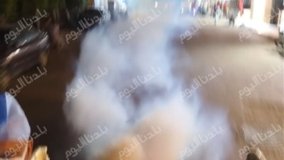 «جهاز الضباب» في مواجهة الحشرات بالمنوفية.. حملات مكثفة لحماية المواطنين خلال الصيف