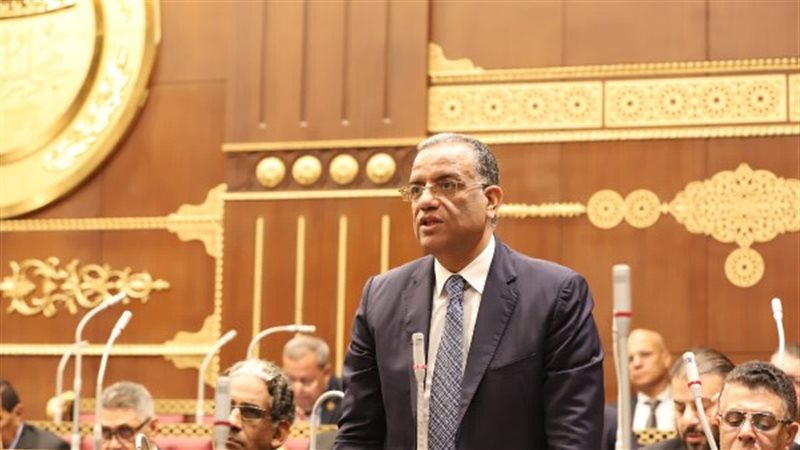 النائب الدكتور محمود