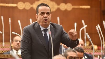 عضو بالشيوخ: الخطة الاقتصادية للعام المالي 2026/2027 يمثل خطوة هامة لدفع مسيرة التنمية