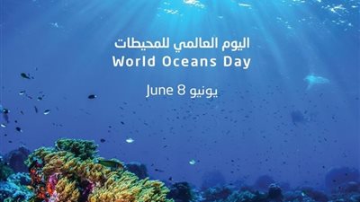 في يوم المحيطات العالمي.. خبراء بالإسكندرية يدعوات للحفاظ على النظم البيئية البحرية