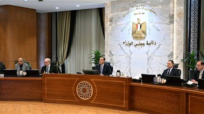 رئيس الوزراء: توريد القمح المحلي يسجل 4.6 مليون طن متجاوزًا أرقام الأعوام السابقة