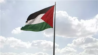 خبير: اجتماع الفصائل الفلسطينية بالقاهرة يستهدف حماية اتفاق غزة من التعطيل الإسرائيلي