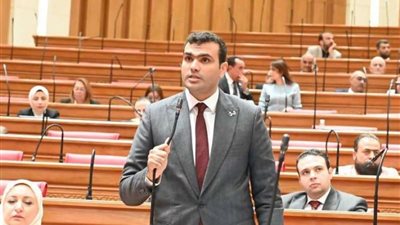 برلماني يتساءل: من يحاسب الحكومة؟ ومتى تلتزم مع الشعب المصري وتخفض الديون؟