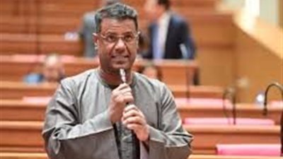 اعتراف دولي بدور مصر الحاسم في الشرق الأوسط.. وعضو بالنواب: الدولة فرضت حضورها عالمياً