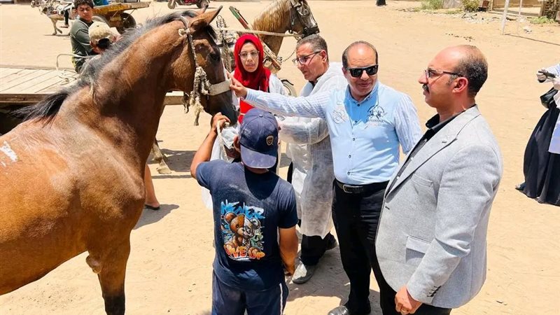 الطب البيطري يتابع القوافل المجانيه