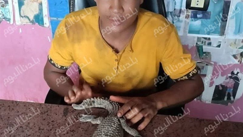 الشاب ممسكا بالتمساح