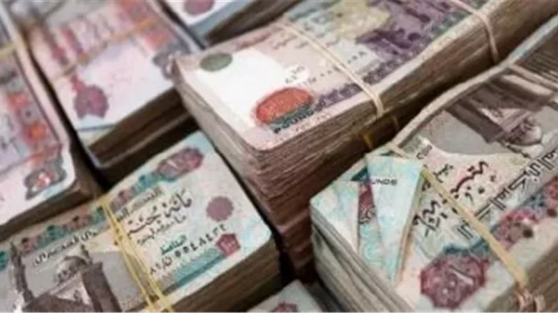 تدفقات الاستثمارات الأجنبية 