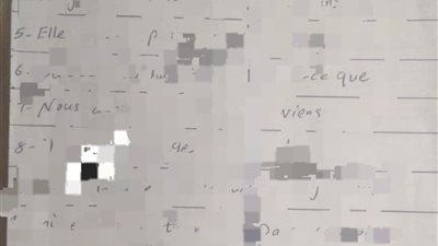 جروبات الغش تزعم تداول أجزاء من امتحان اللغة الأجنبية الثانية لطلاب الثانوية العامة 2026| صور