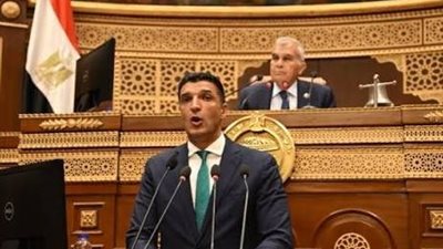 وزير الصناعة أمام الشيوخ: نستهدف الوصول بالصادرات المصرية إلى 100 مليار دولار بحلول 2030