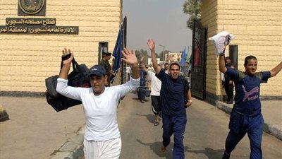 عفو رئاسي عن بعض المحكوم عليهم بمناسبة الاحتفال بالعيد الـ13 لثورة 30 يونيو