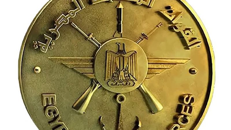 ضبط 223 شخصا وتفكيك
