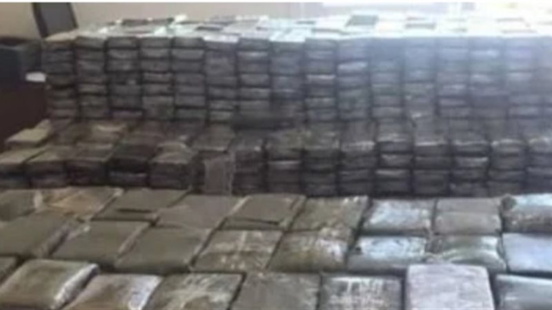 سقوط تاجر مخدرات بـ50 كيلو حشيش في الدقهلية 