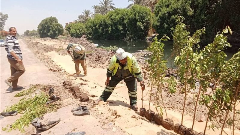 مبادرة أزرع شجرة