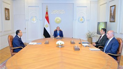 الرئيس السيسي يطالب بتوطين صناعة السيارات والتوسع في إنتاج المركبات الكهربائية
