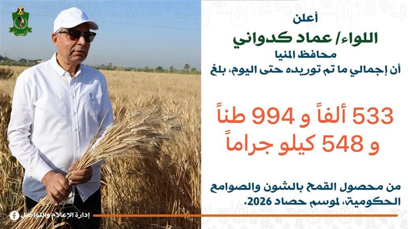 محافظ المنيا
