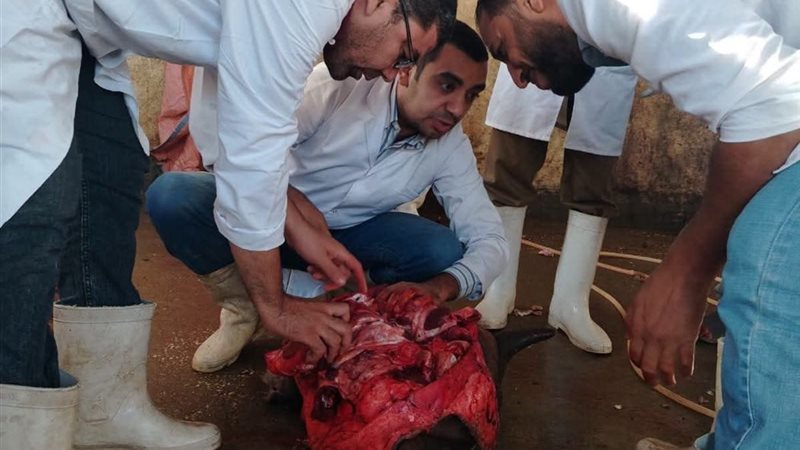 اثناء الفحص من أطباء