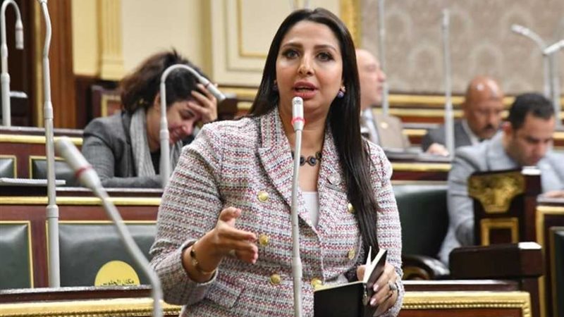 النائبة نشوى الشريف