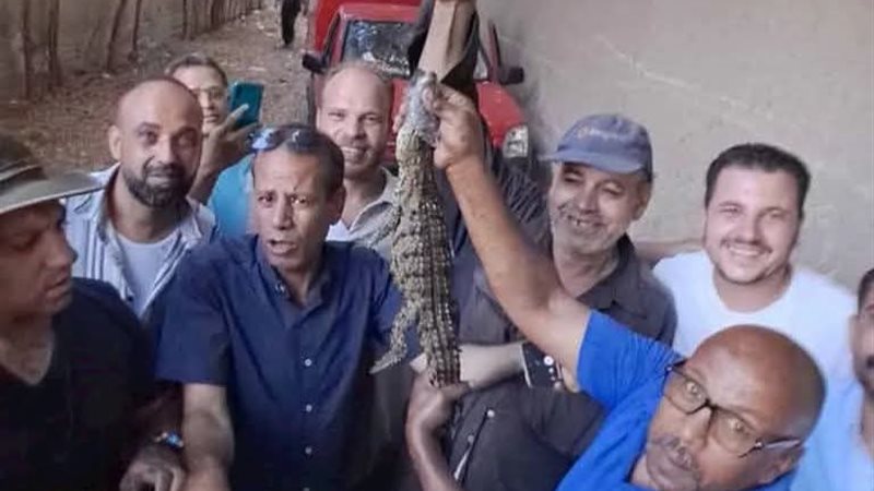 الأجهزة التنفيذية