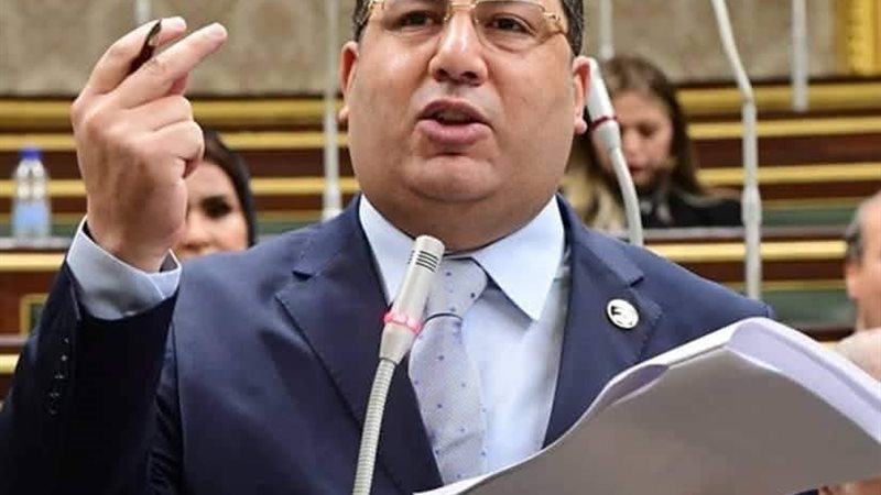 أحمد سعد نويصر، أمين