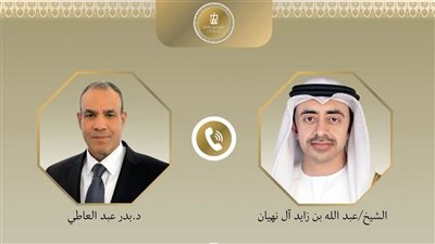 وزير الخارجية يبحث مع نظيره الإماراتي تعزيز العلاقات الثنائية وتطورات الأوضاع الإقليمية