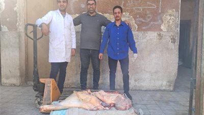 ضبط 55 كيلو لحوم فاسدة ومذبوحة خارج المجازر الحكومية خلال حملة بسوهاج