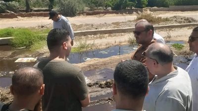 محافظ الدقهلية يتابع حملة مفاجئة على مصانع المنطقة الصناعية.. وإجراءات ضد المخالفين