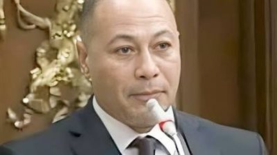برلماني: اللقاء المصري الإماراتي يعكس وحدة المواقف العربية في مواجهة التحديات الإقليمية|خاص