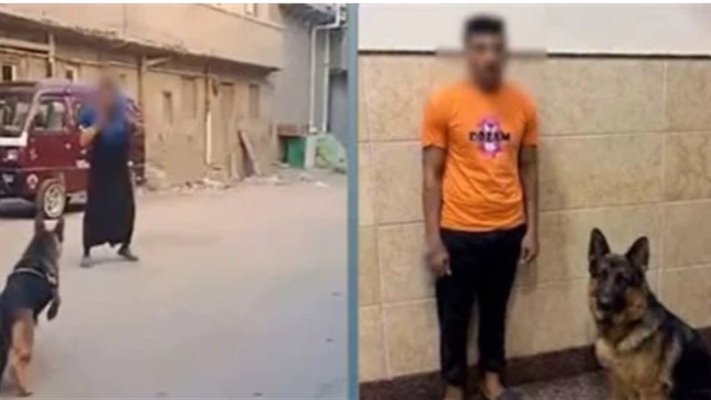ضبط المتهم بدفع كلبه لمهاجمة سيدة في البحيرة