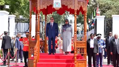 الرئيس السيسي: شراكتنا الاستراتيجية ناجحة وتنسيقنا ممتد للقضايا الإقليمية والدولية