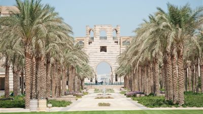 الجامعة الأمريكية بالقاهرة تكشف ملامح استراتيجيتها للاستدامة.. وإطلاق أول سياسة بيئية ملزمة
