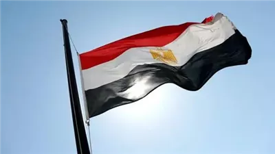 مصر تواصل دعم الأشقاء الفلسطينيين بالمساعدات الإنسانية إلى قطاع غزة