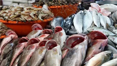 استقرار أسعار الأسماك والمأكولات البحرية اليوم السبت 25-7-2026.. والبلطي يبدأ من 73 جنيهًا