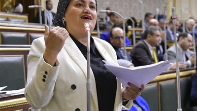 النائبة سناء السعيد تطالب وزير الصحة بسرعة تشغيل وحدات «حياة كريمة» بالقرى