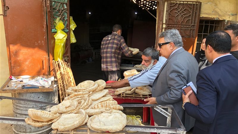 محافظ الدقهلية يتابع