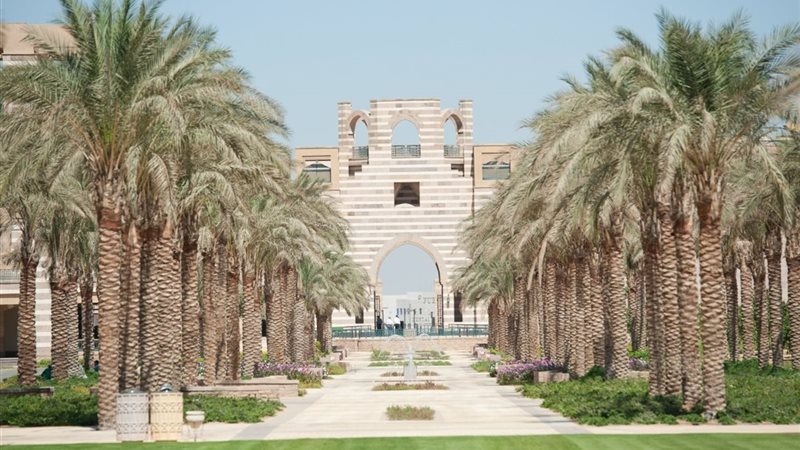 الجامعة الأمريكية